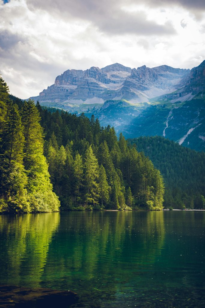 pexels-photo-1666021-1666021 Peaceful alpine landscape featuring a serene lake with mountain and forest reflections.